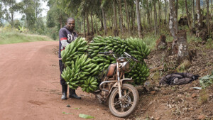 F8_c_JoePichler_Afrika