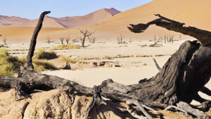 F17_c_JoePichler_Afrika