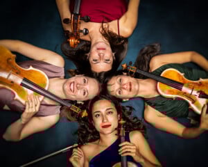 F_Mowo26_c_Ernest Stierschneider_2w