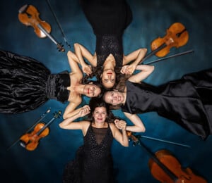 F_Mowo26_c_Ernest Stierschneider_3w_Fin