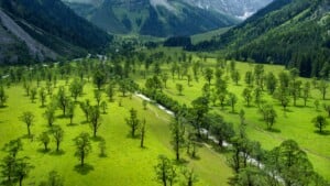 Gro_er Ahornboden Sommer_A4