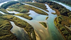 Inn Auen bei Braunau_org